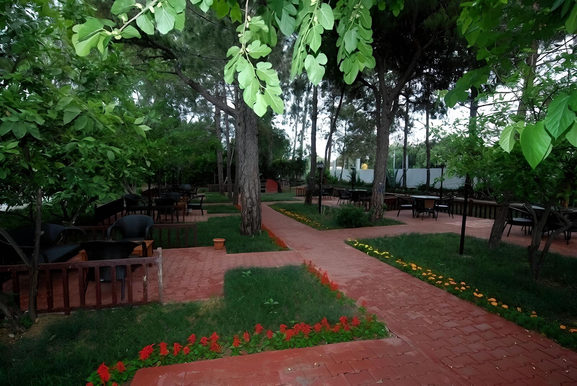 Photo 17