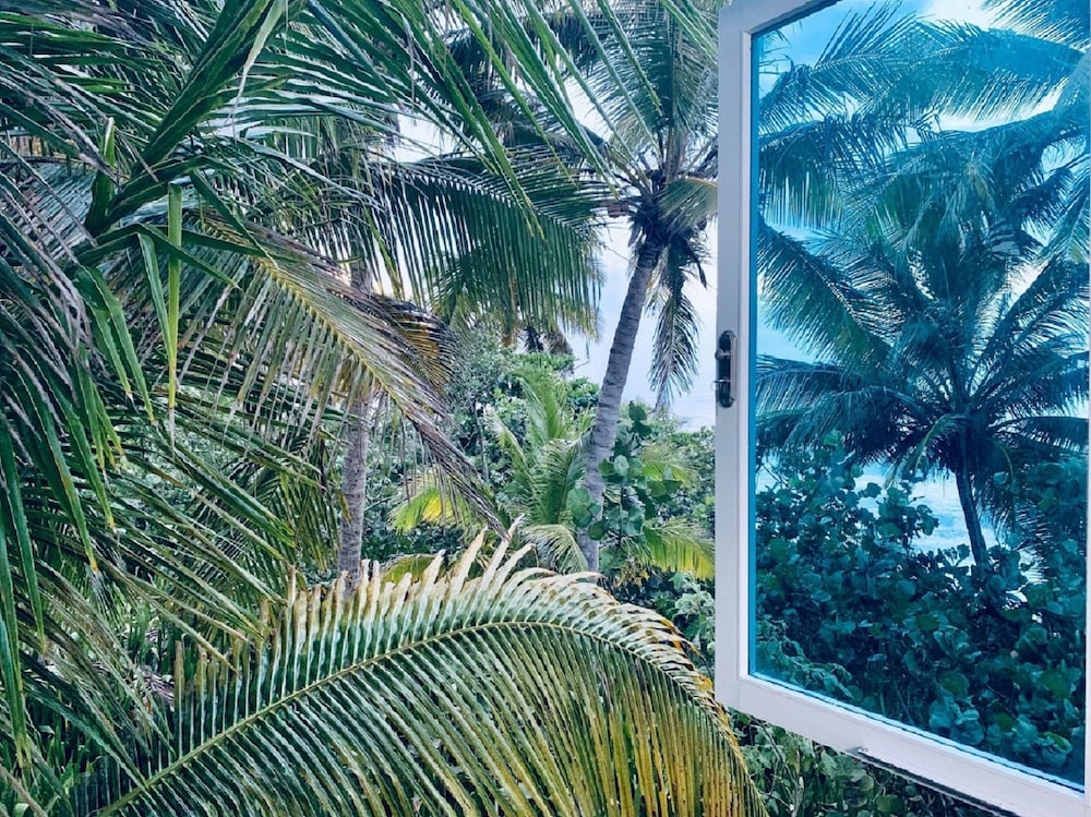 Ventana al Atlantico at Arecibo 681 Ocean Drive