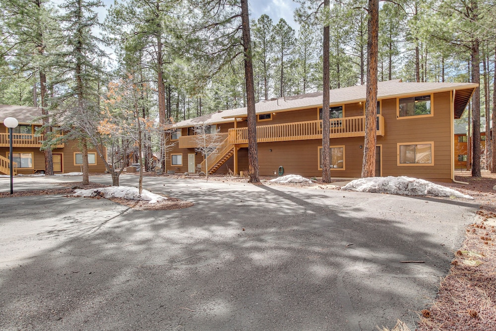Sledding Thrills & Fireside Warmth: Pinetop Home