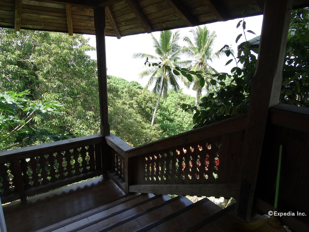 Photo 41