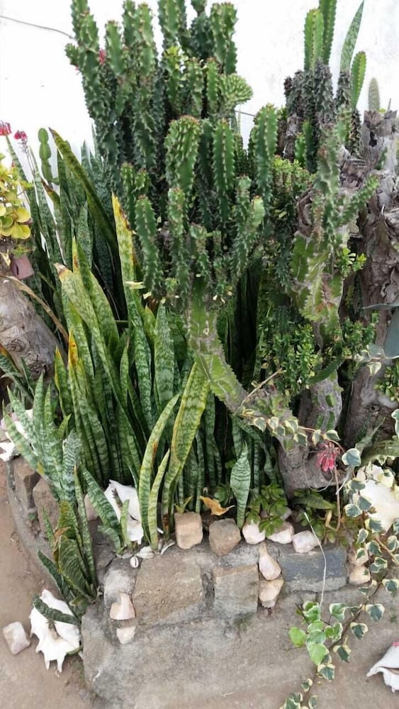 B&B Antananarivo view 5
