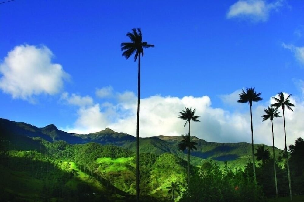 Finca Villa Nora, photo 11