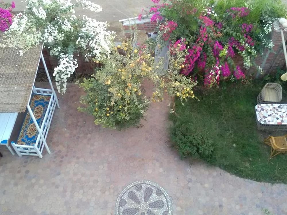 Luxor Guest House