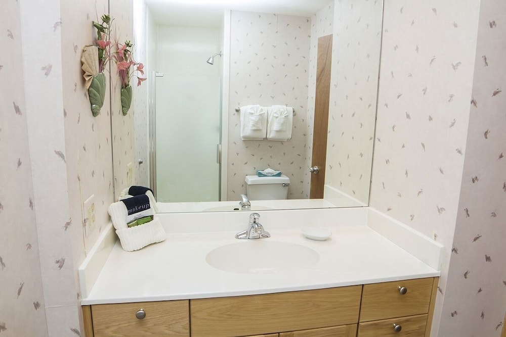Sunnyside Knoll: 10 1 Bedroom Studio - Property Image 5