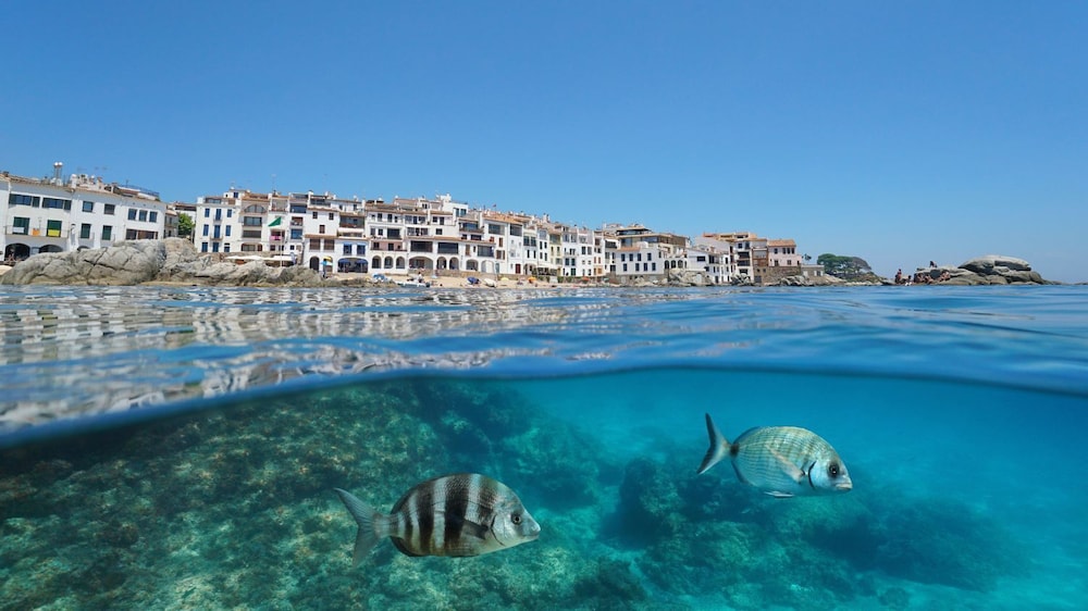 Margell G-2 in Calella de Palafrugell