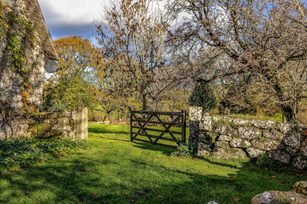Woodtown in Chagford