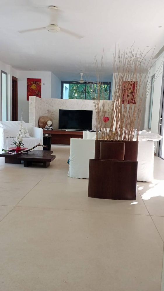 Villa Joyosa- Las Terrenas Beachfront Villa