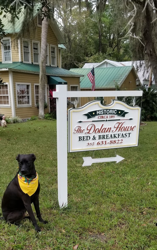 Dolan House B&B