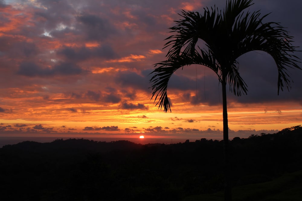 Vista Villas