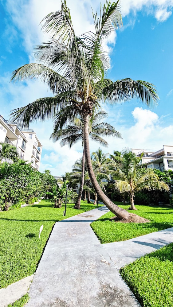 NEW Stunning Beachfront Condo at the Coral Beach