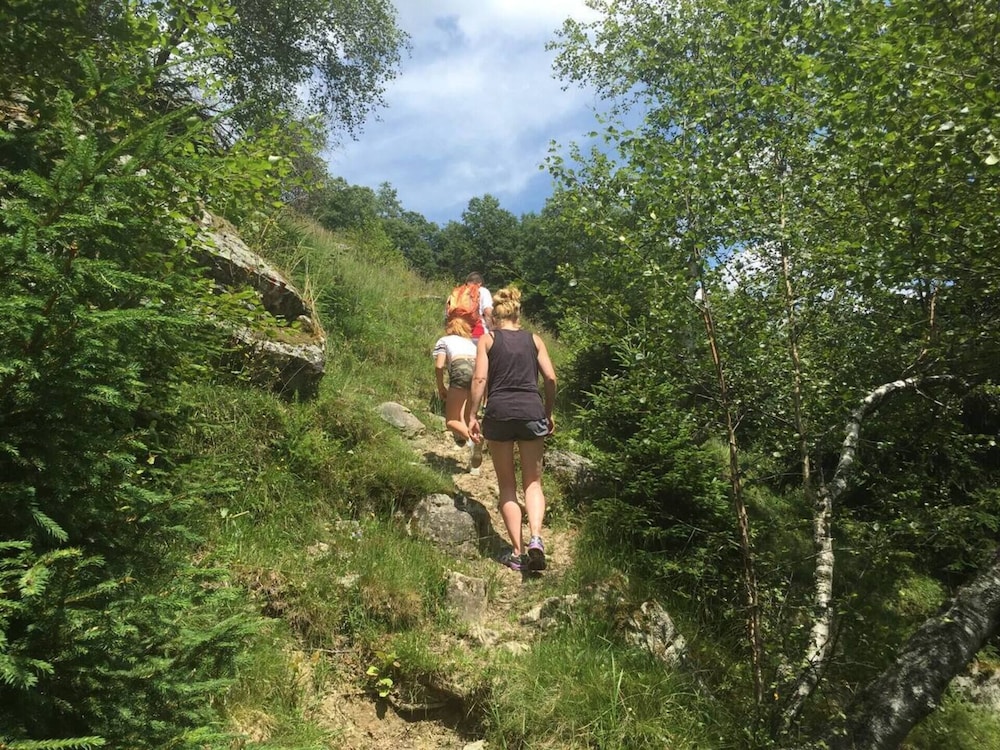 Photo 52