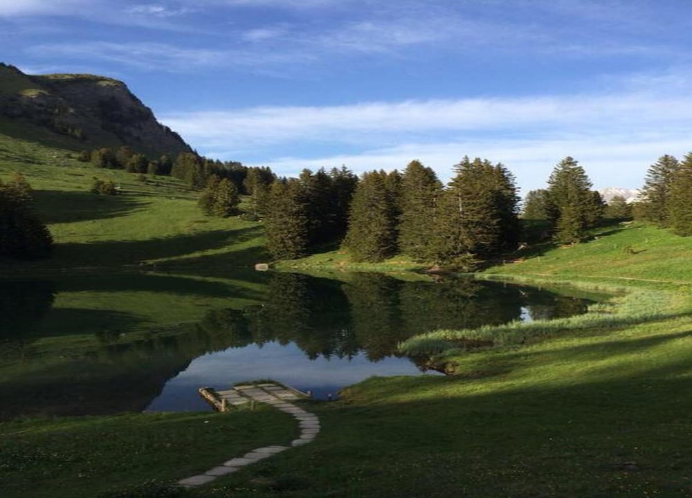 Contemporary Swiss Escape