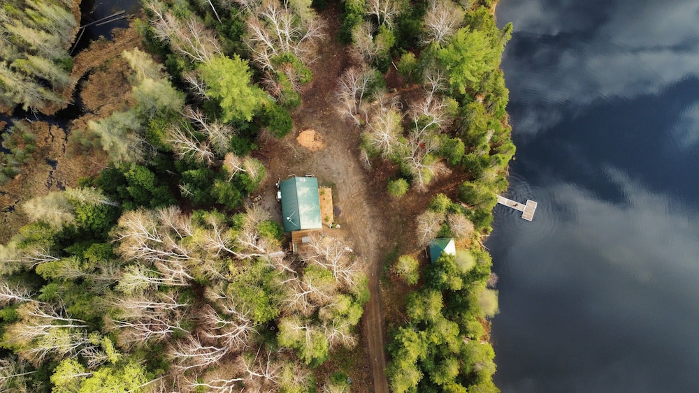 Lièvre Rouge- Refuge en forêt