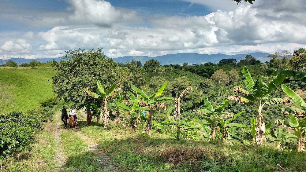 Finca Agroturistica Alejandria