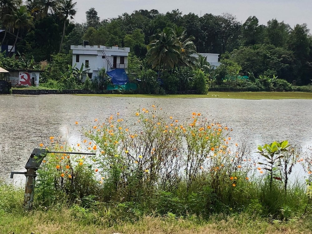 Namasthe Ayurveda and Yoga Retreat