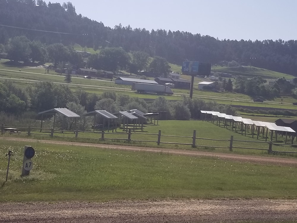 Suzies Camp