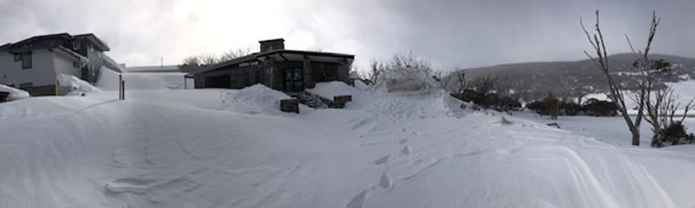 The Lions Lair
