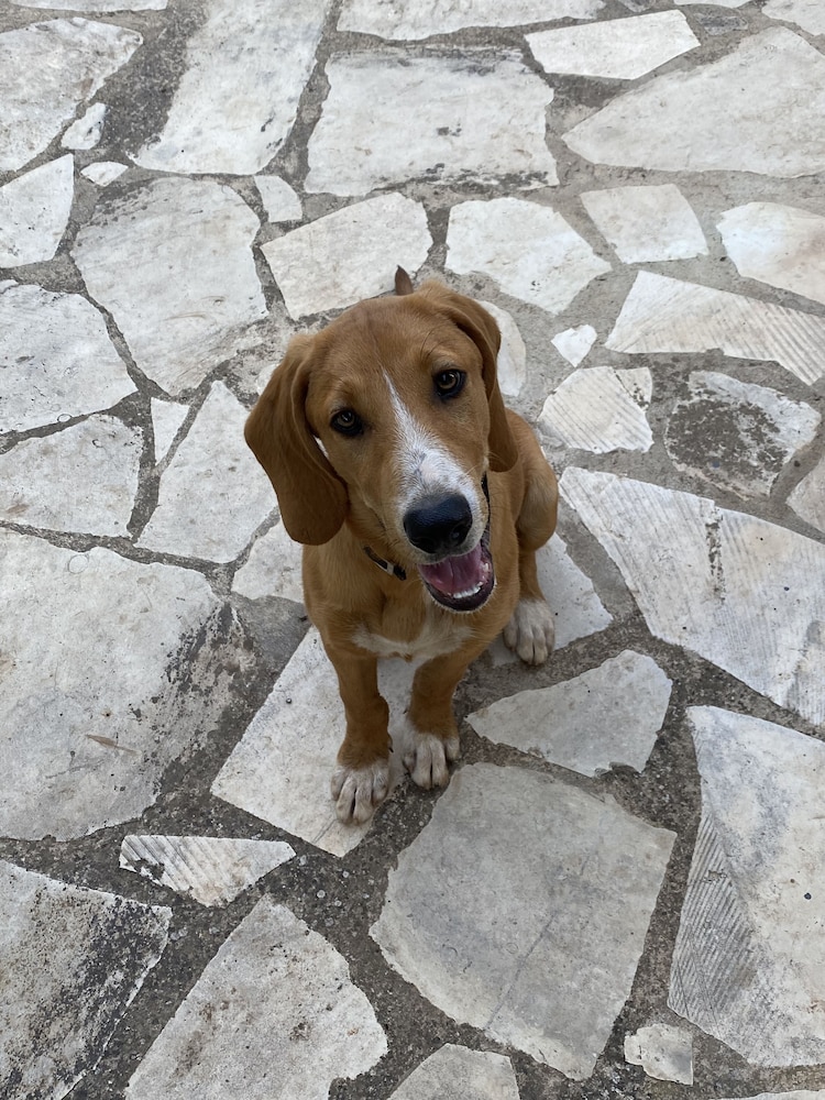 Agriturismo Il Melograno