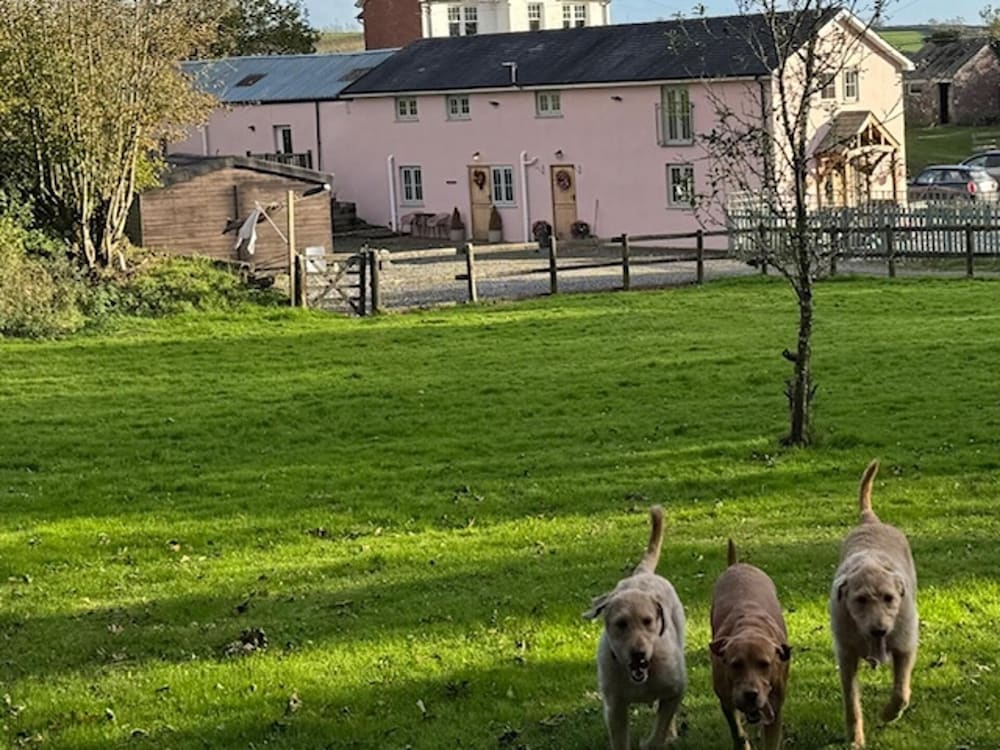Ty Llaeth 2-bed Cottage, Sleeps 4, Pet Friendly