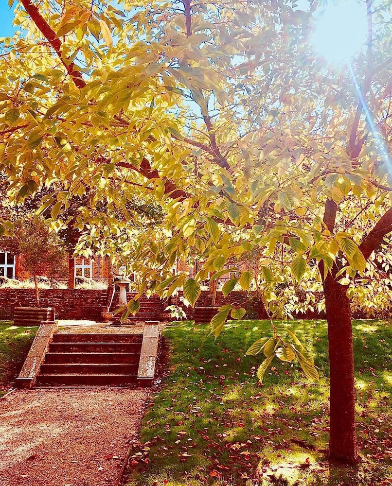 Yeovil Vacations - Lanes Hotel - Property Image 32