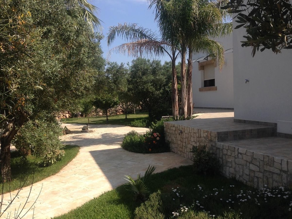 Photo 6