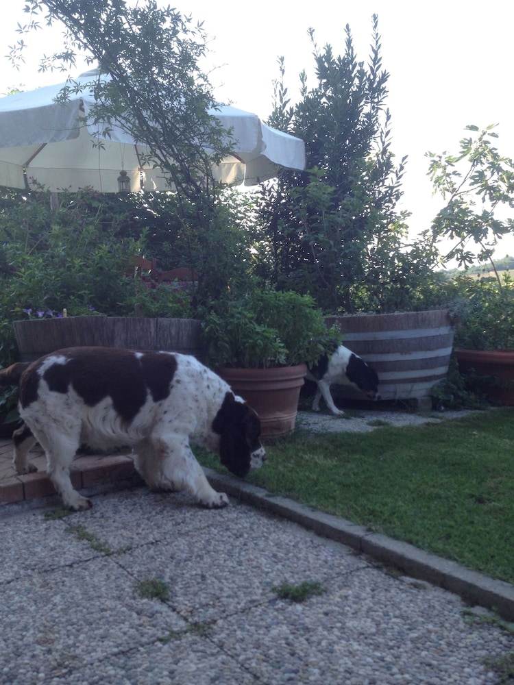 Ca' Norino B&B