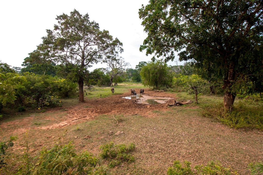 Back of Beyond - Safari Lodge Yala