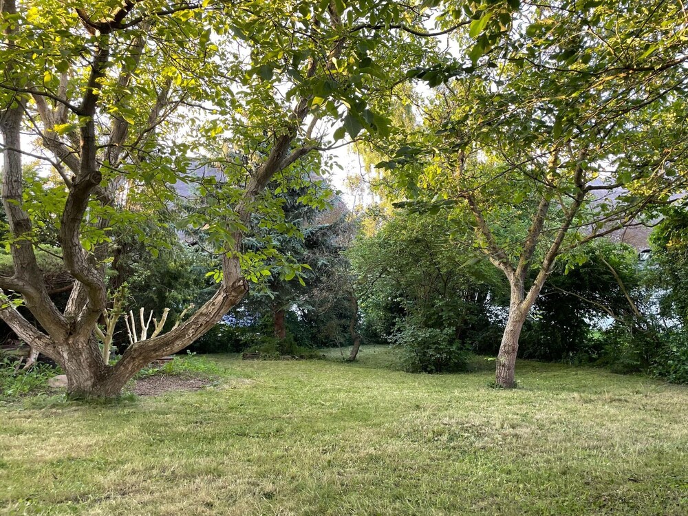 Krusenhagen Apartment With Garden