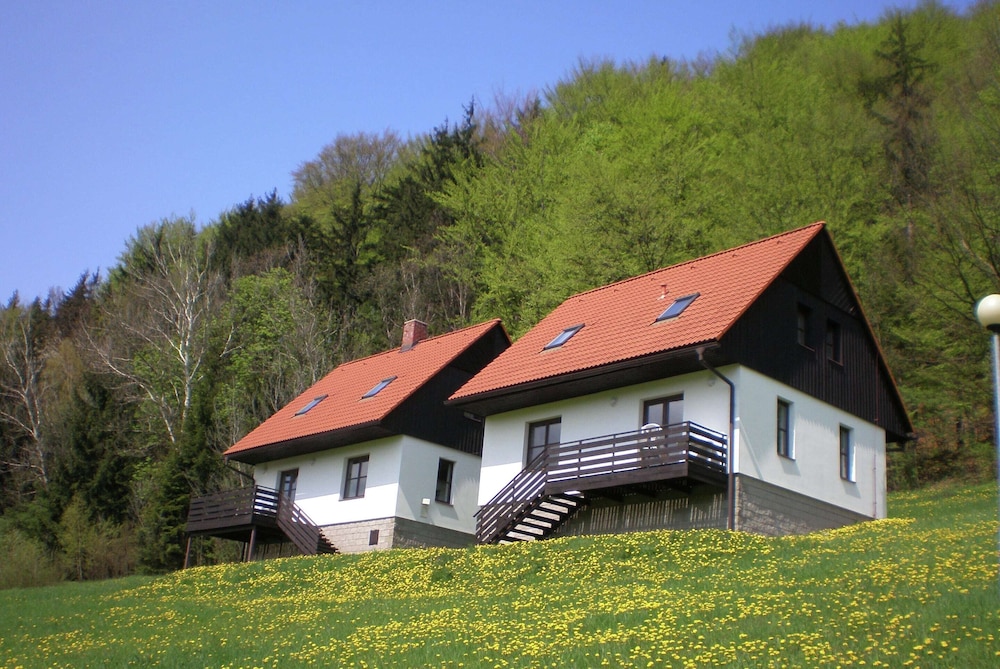 Mansion in Starkov Near Acitvities