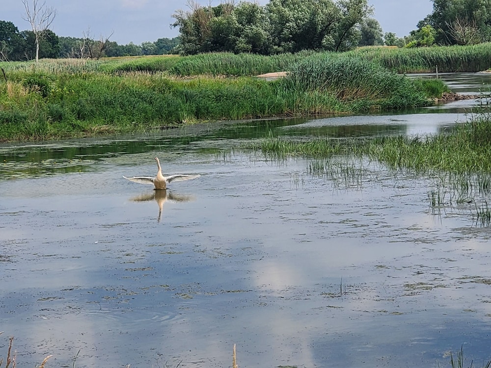 Ok Relax - Property Image 6