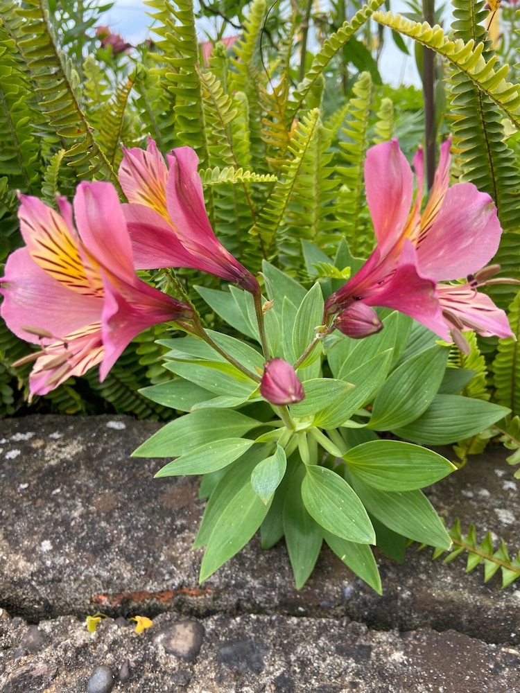 other
