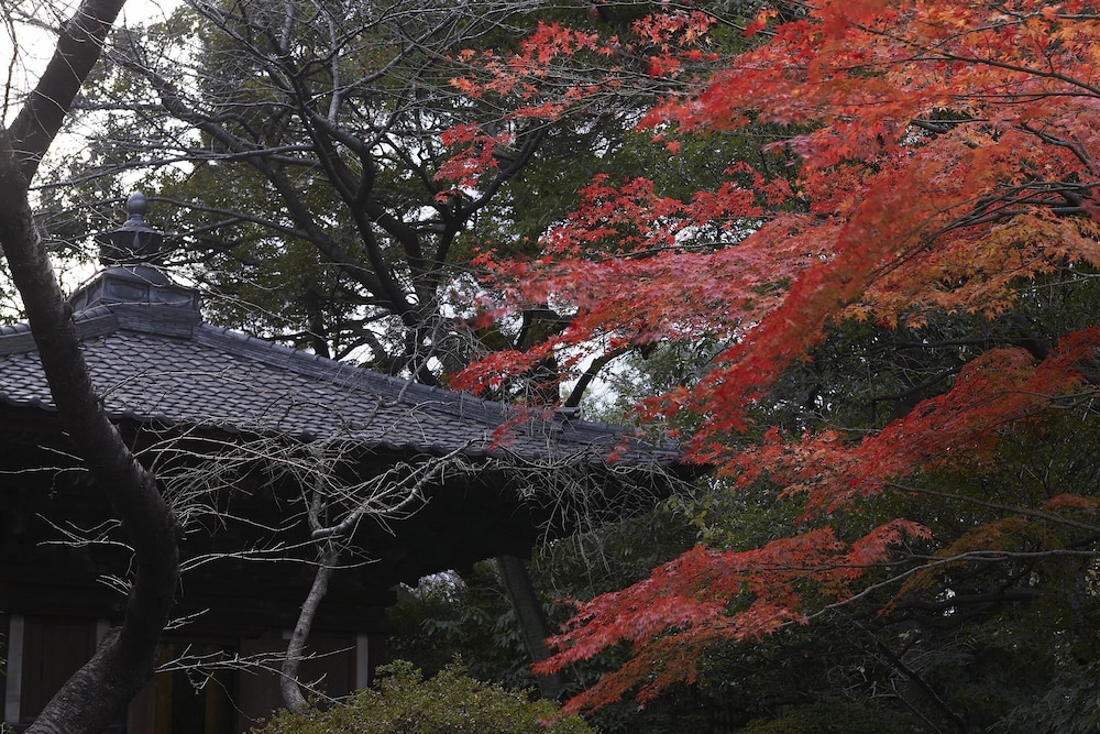 Grand Prince Hotel Shin Takanawa 144