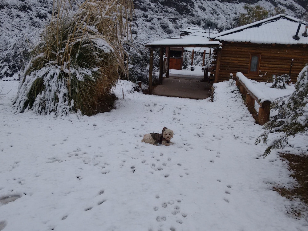 Mendoza Sol y Nieve