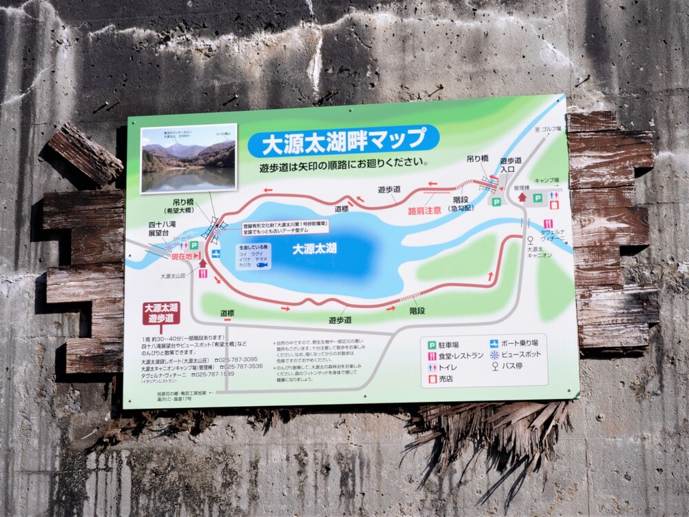 Photo 41