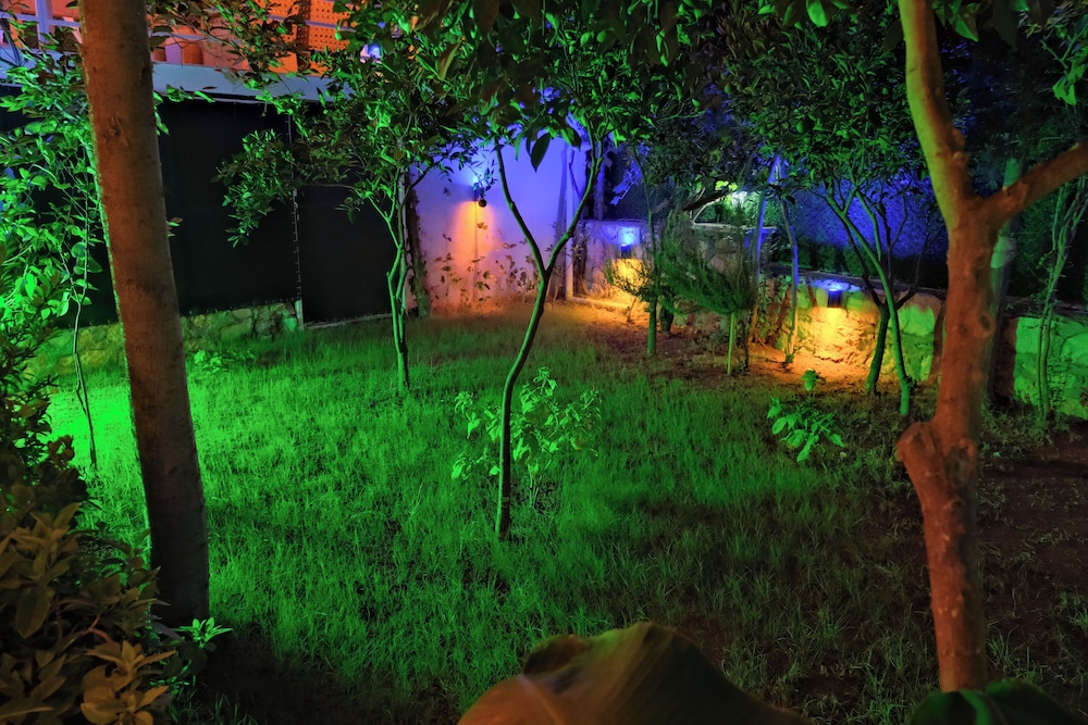 Photo 28