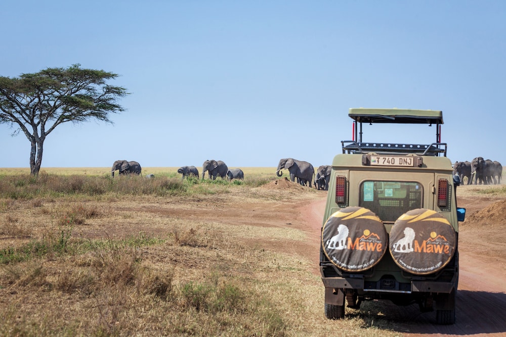 Mawe Luxury Tented Camp