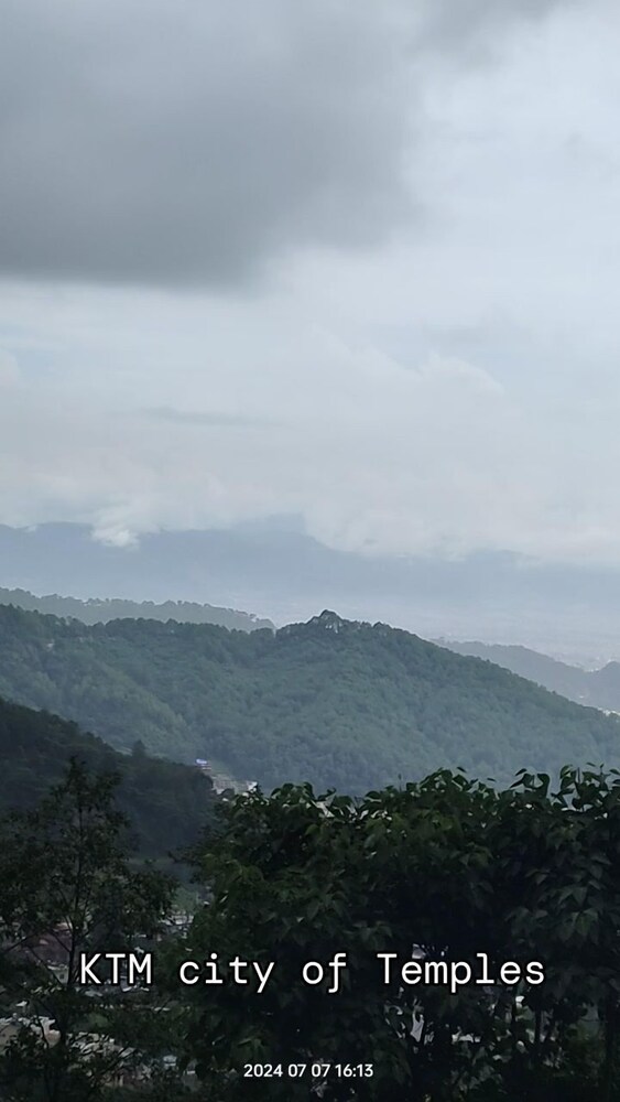 Treez Resort Pvt Ltd