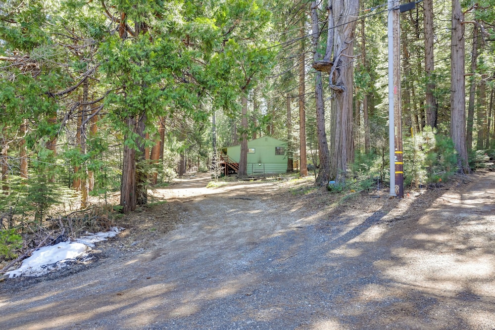 Stay Near Big Trees, Bring Your Pets: Arnold Cabin