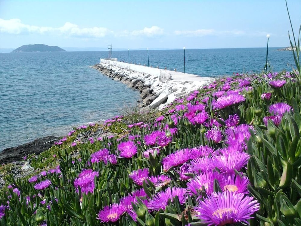 Welcome To Hotel ,,petunia,, In Neos-marmaras,xalkidiki ,greece,in Para18dise