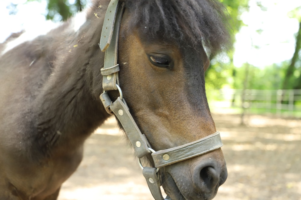 Filyos Ecopark - Property Image 10