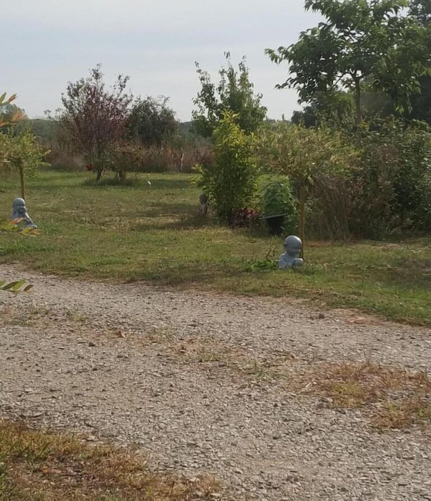 Photo 32