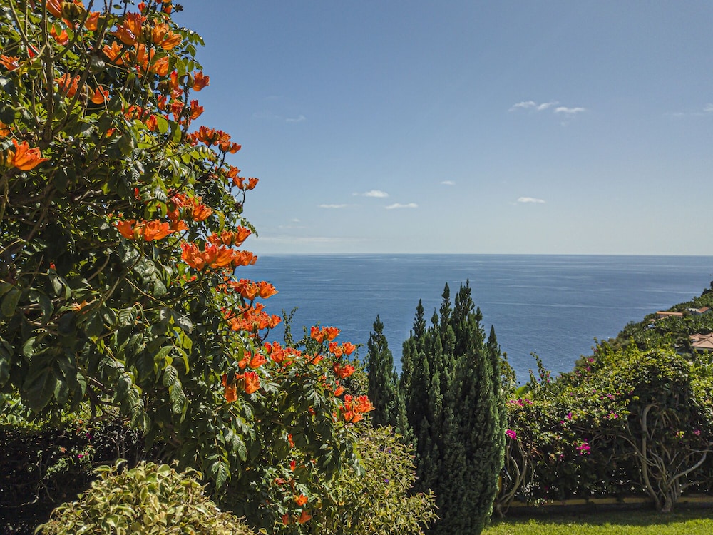 Quinta Girassol by Our Madeira