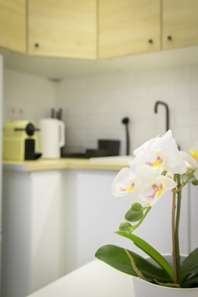 Beautiful studio in central location
