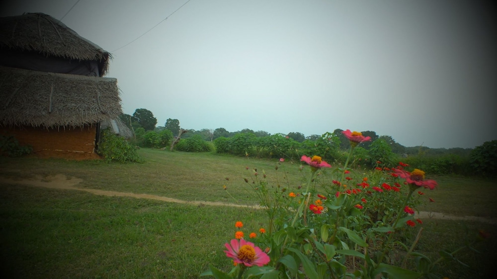 Jungle House Yala