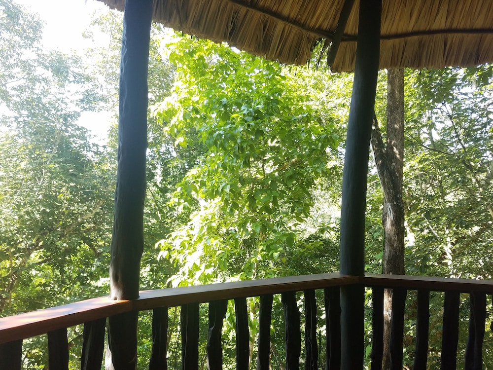 Belize Vacations - Table Rock Jungle Lodge - Property Image 34