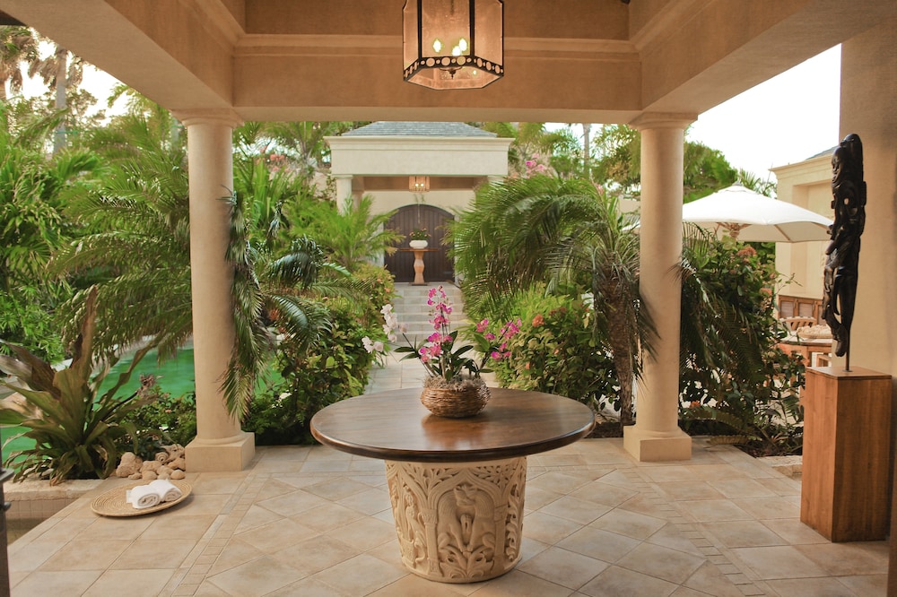 Anguilla's Bird of Paradise - Image 3