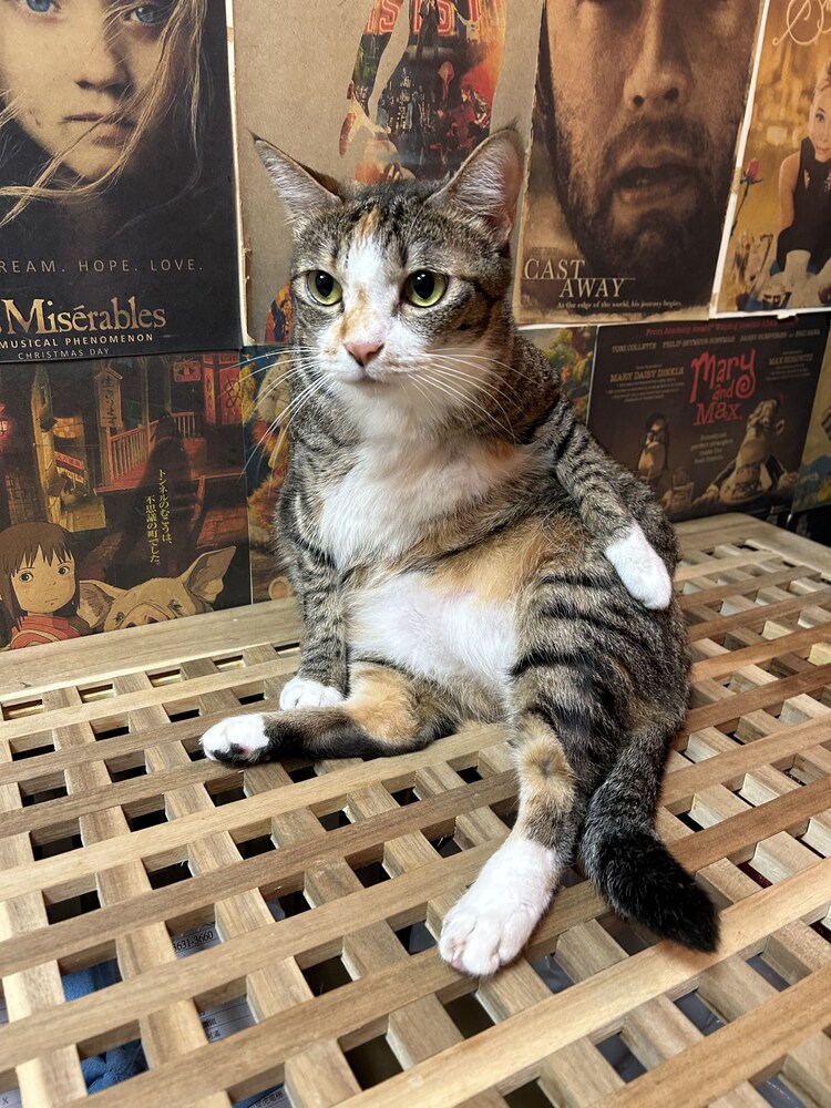 Ximen Triple Tiger Hostel - Image 2