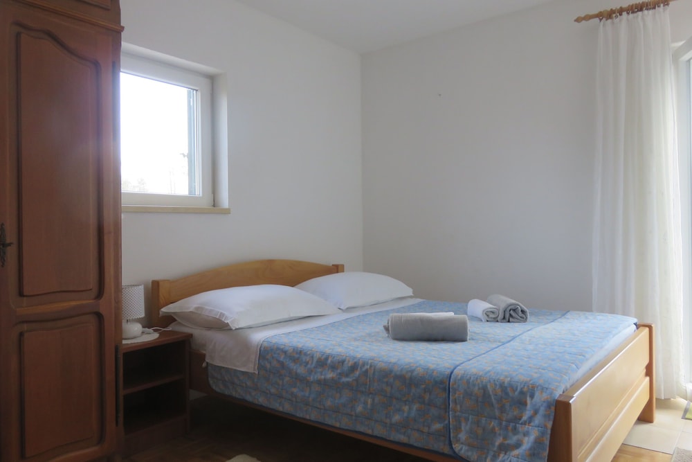 House Pansy photo 5