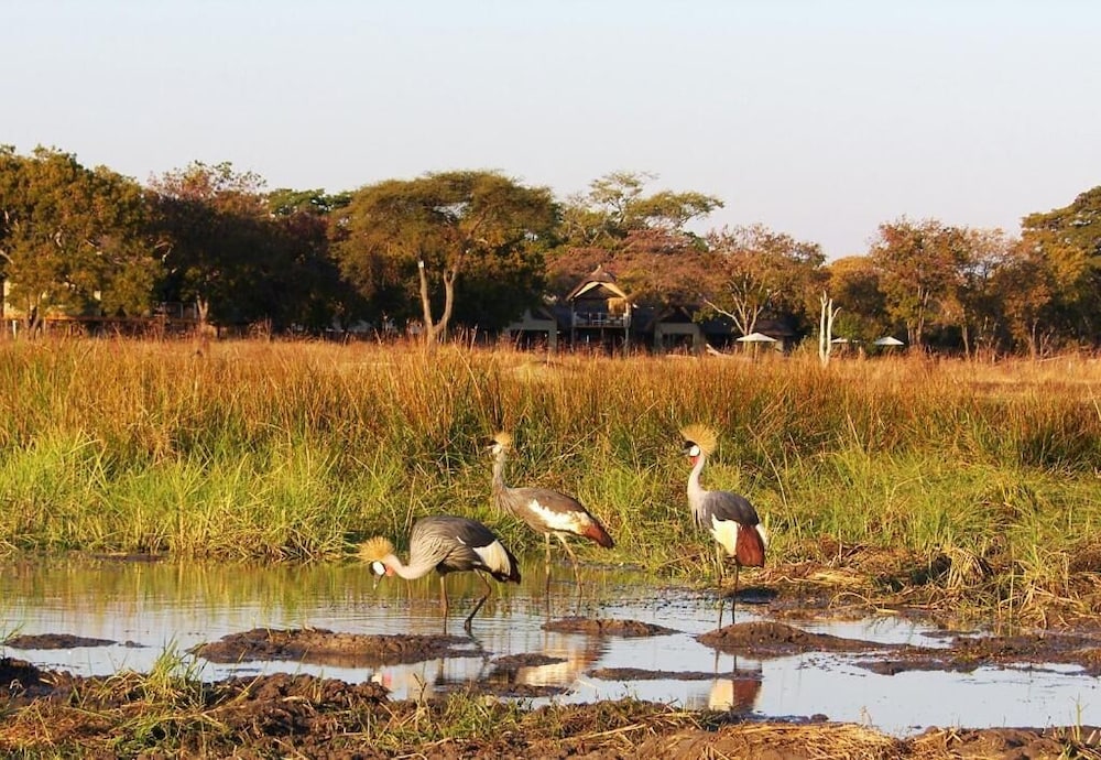 Elephant's Eye, Hwange