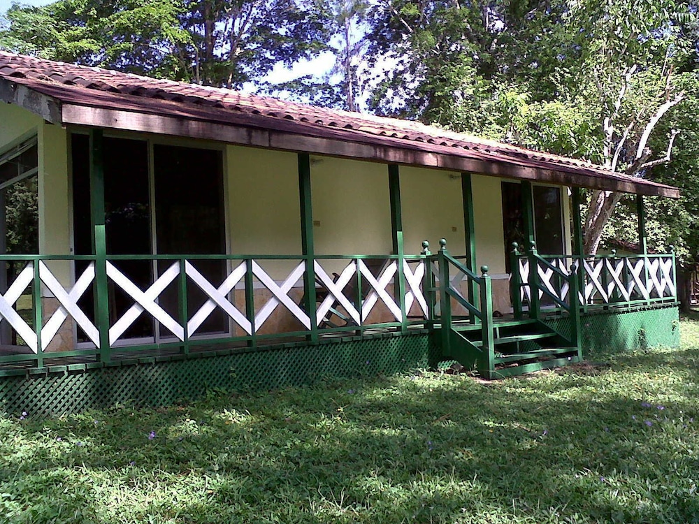 Photo 23